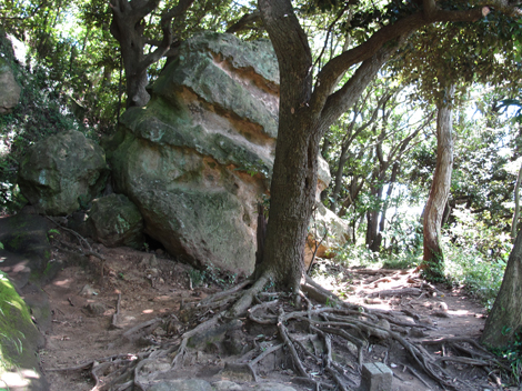 20150715hike (75)